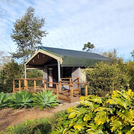 Southern Sky Glamping Mount Tamborine Luaran gambar